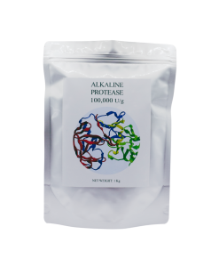 Enzyme Protease